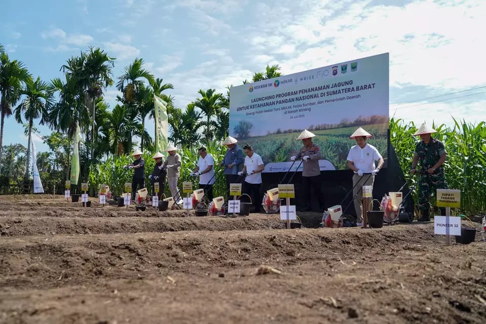 West Sumatra Launches Corn Program as Prabowo Targets Import Halt by 2026